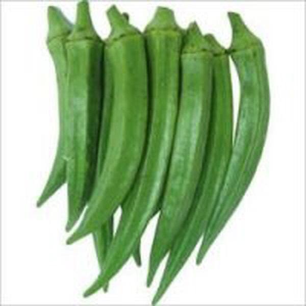 Fresh Indian Okra ~454g