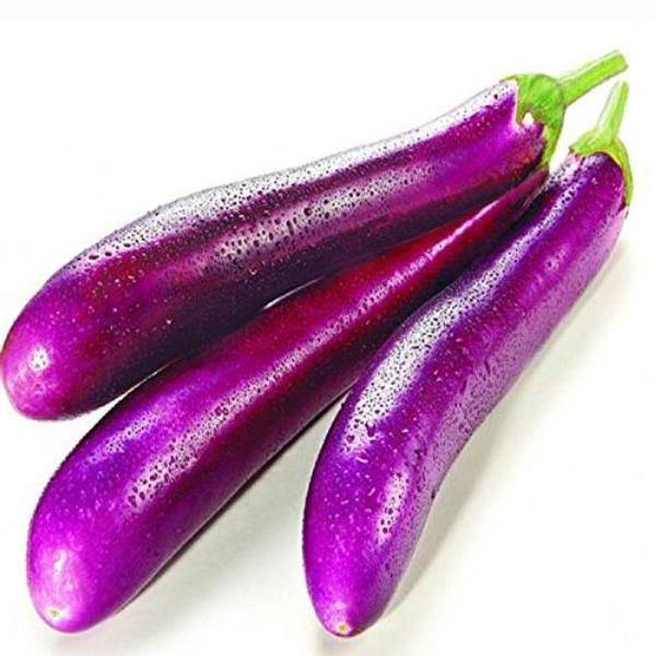 Long Eggplant ~454g